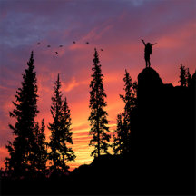 Embracing Nature at Sunset