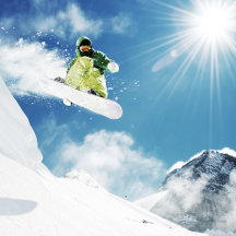 iPhone Cases - Heavy Duty Tough Hawaiian