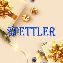 Stettler_Name T-Shirt
