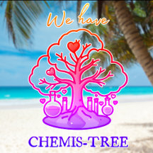 CHEMIS-TREE SXM ☀️ Saint Martin beach