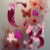 Cinnamon_Butterfly