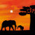 wonderful_africa