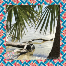 Florida Travel Prints