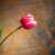 JLW_Photos