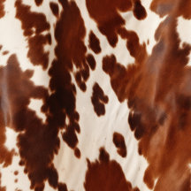 Western Cowgirl Cowboy