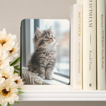 Purrfectly Cozy Kitten Collection