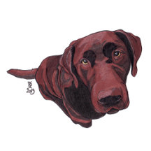 Doggust 2019 Stickers