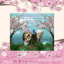 SADIEMIKI Collection