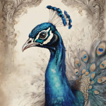 Beautiful Bird Prints