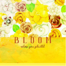 Bloom where you planted!