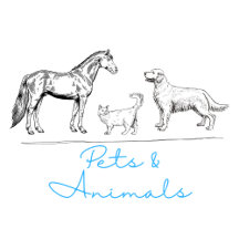 Pets & Animals