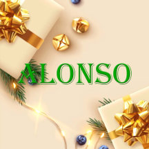 Alonso Name T-Shirt