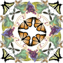 Fairies and Butterflies