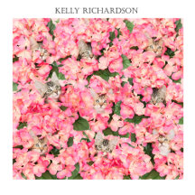 Hide and "PEEK" kittens