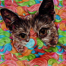 "Luna Lola" Kitty Collection