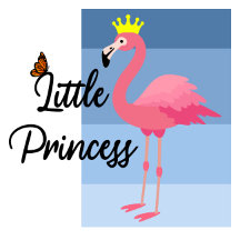 Little Princess Pink Flamingo Design