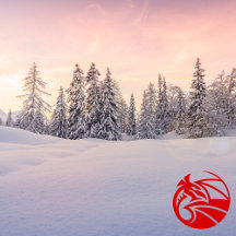 Slovenian Christmas Collection