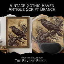 Antique Script Branch Raven - Vintage Gothic Art
