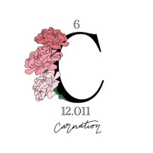 Carbon/Carnation
