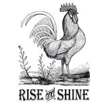 The Country Collection