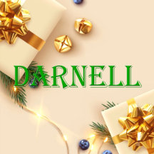 Darnell Name T-Shirt