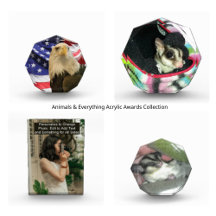 Animals & Everything Acrylic Awards