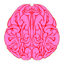 Brain