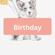 Birthday: Corgi