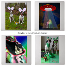 Kingdom of Animal Posters