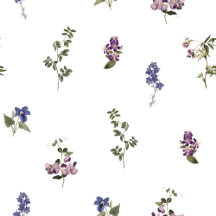Collection Vintage Floral
