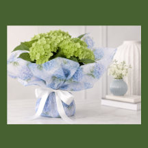 Coastal Hydrangea Living