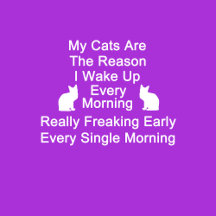 Cats Are The Reason