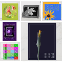 Floral Photography Greeting Cards and Postcards