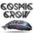 TheCosmicCrow