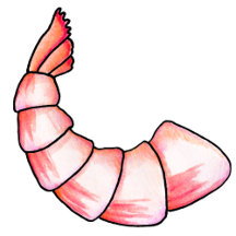 Shrimp tail