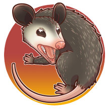 Opossums Are People, Too!