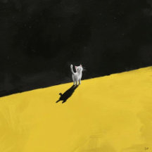 Tshirt Collection and More