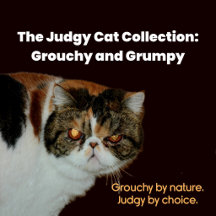 The Judgy Cat Collection: Grouchy and Grumpy