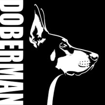 Doberman Dog