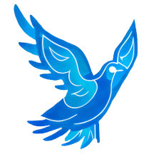 Watercolor Dove in Blue and White