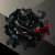 BlackBloom