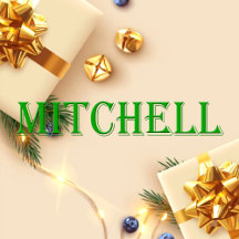 Mitchell Name T-Shirt