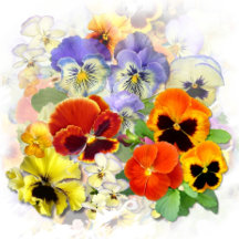 Delightful Pansies