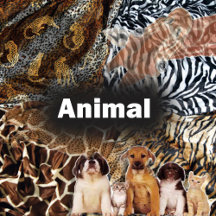  Animal Theme