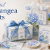 The Papercraft Studio NZ — thepapercraftstudio