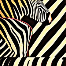 The Zebra Zone