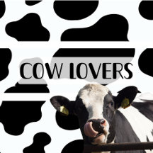 Cow Lovers