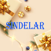 Sindelar_Name T-Shirt