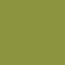 Solid Green Color   Hex# 8D9440