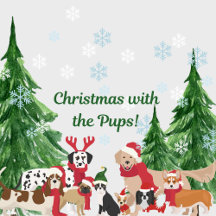 Christmas with the pups!